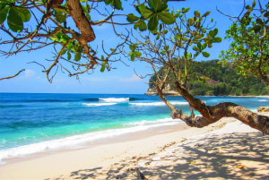 Catalinita Island, a beautiful protected sanctuary!